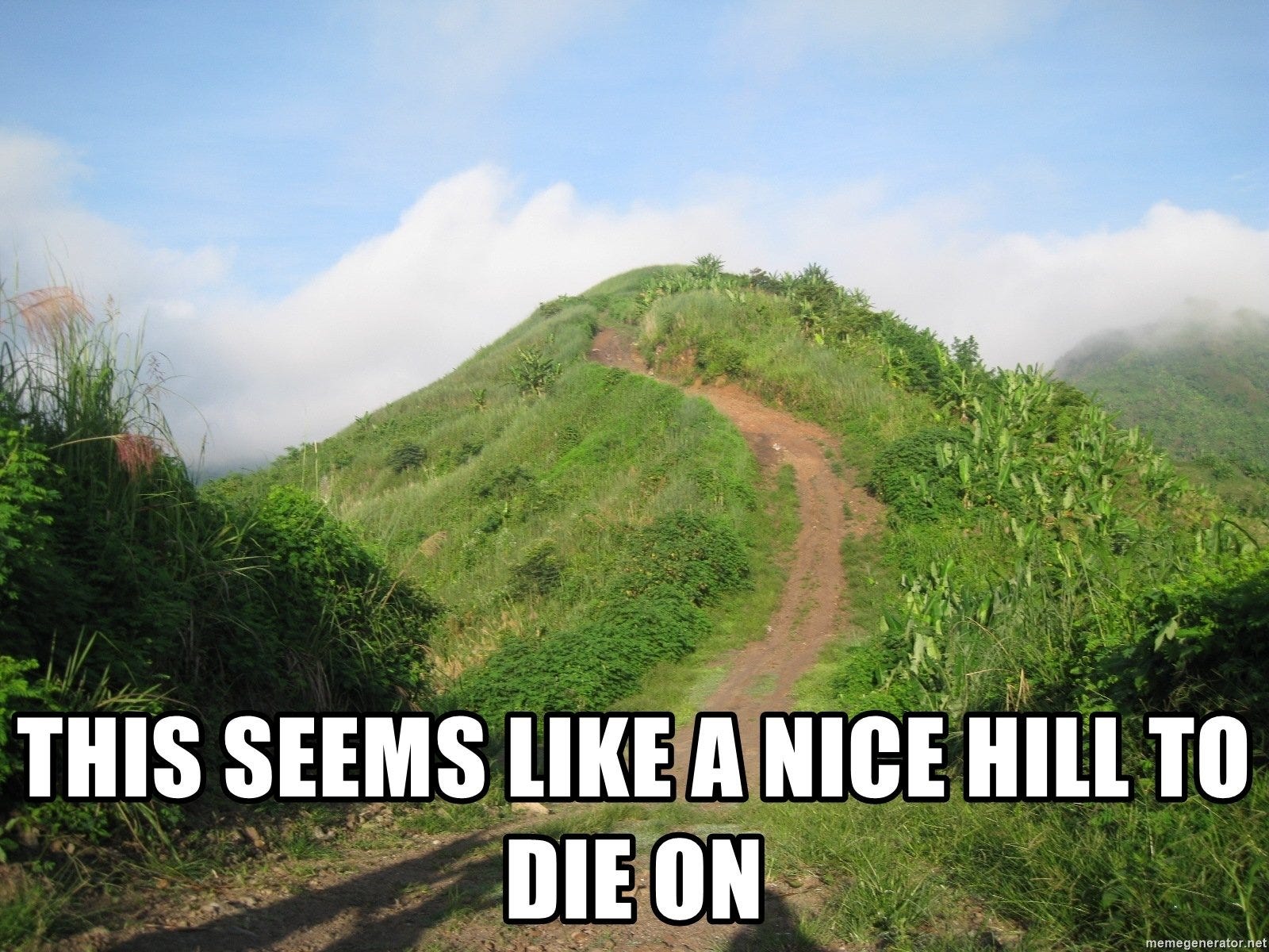 This seems like a nice hill to die on.