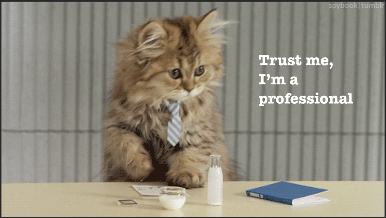 Cat wearing a tie. &quot;Trust me, I&#39;m a professional.&quot;