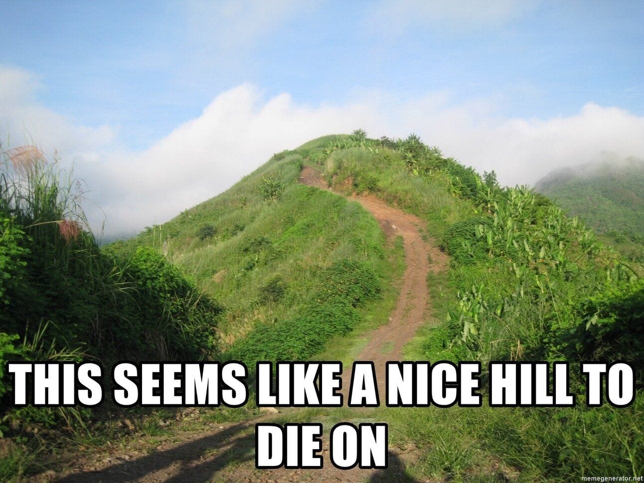 This seems like a nice hill to die on.