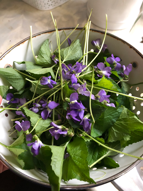 A recipe for Taurus season: throat coat lozenges